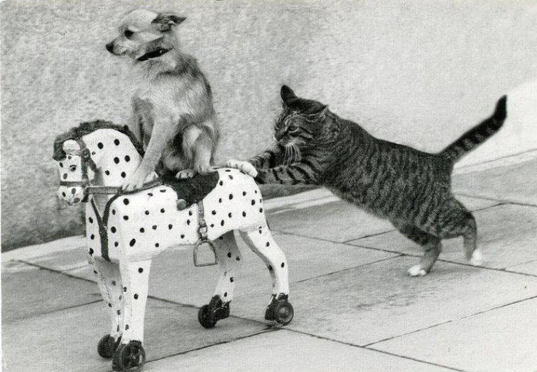 http://dl.ziza.ru/other/072012/24/other/fotopodborka/yjqC9KQo4o0.jpg