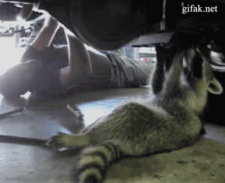 http://4.bp.blogspot.com/-7bB1SnwdNvQ/UBAA3bLrS9I/AAAAAAAAe7s/zqcVRHqXv44/s1600/%D0%BB.gif
