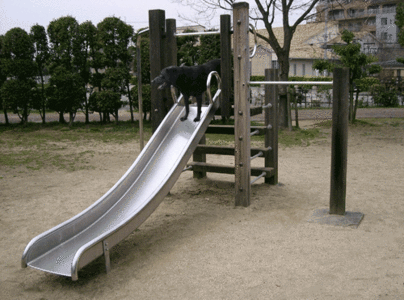 http://files-cdn.formspring.me/photos/20120815/n502b6c4709558_large.gif