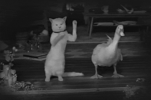 http://cs6258.userapi.com/u91056499/docs/745be7dd624d/tusa.gif