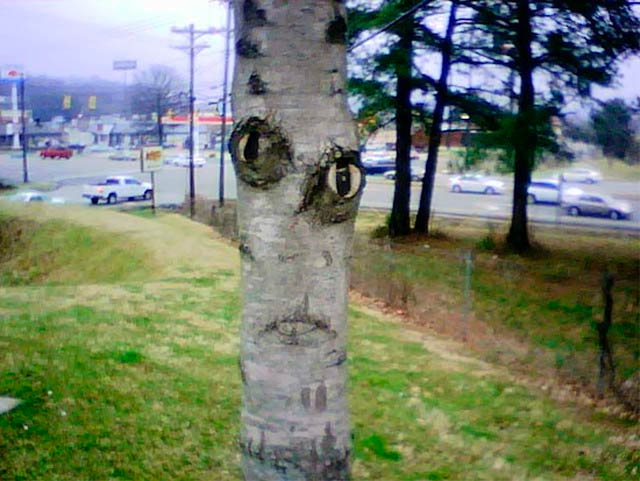 http://lh6.googleusercontent.com/-arFC3NaDgKs/TflU1cQ39yI/AAAAAAABfN8/-r96yS2XqTM/s640/34twefwefwefew.jpg