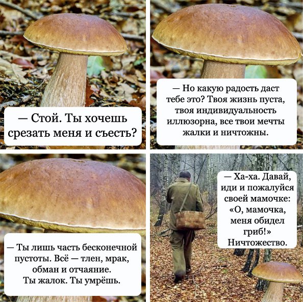 http://cs306613.userapi.com/v306613625/2035/GjEObcXmHw4.jpg