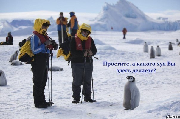 http://jugregator.org/content/1969/1969433_38806.jpg