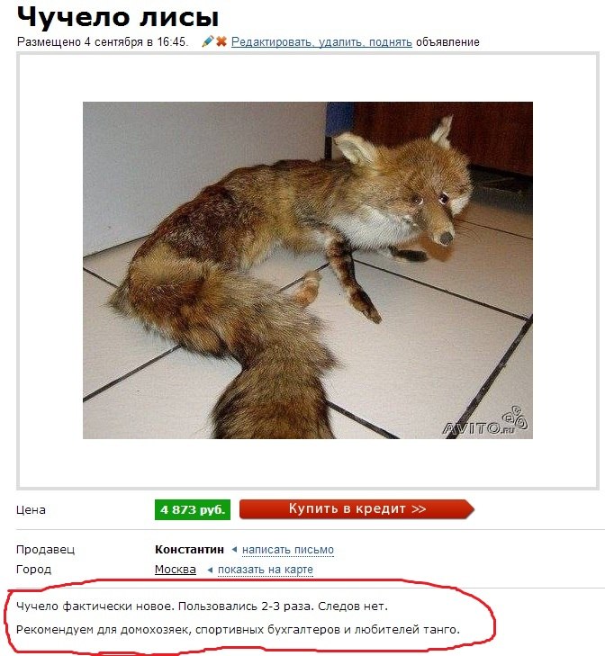 http://cs309123.userapi.com/v309123704/27d5/o1KQJ7QPw40.jpg