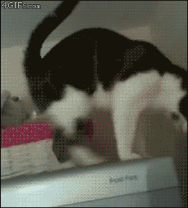 http://www.ljplus.ru/img4/w/a/warandwar/444779_original.gif