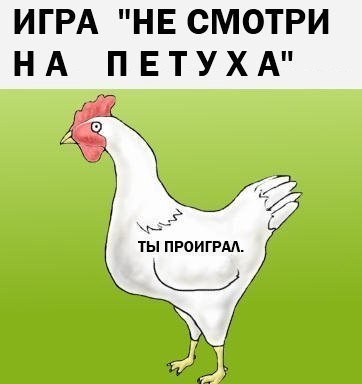 http://cs304712.userapi.com/v304712995/4d80/5L1CXf51fdA.jpg