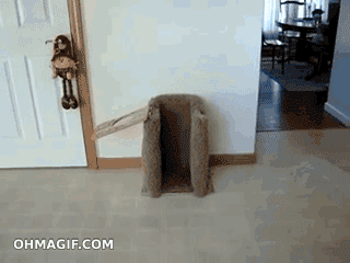 http://forum.gipsyteam.ru/uploads/post-4510-1340020711.gif