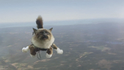 http://img11.nnm.ru/0/c/d/1/5/d500cd264959f24369e79af08d6.gif