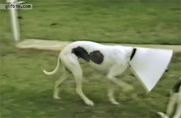 http://cs6211.userapi.com/u139502482/docs/5fcd974be60f/imgBeqxRO.gif