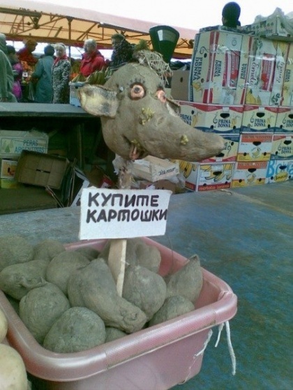http://a3.tcdn.ru/assets/att/6b/d9/11528999_0_0_85cb34d261ecf02182683a01.jpg